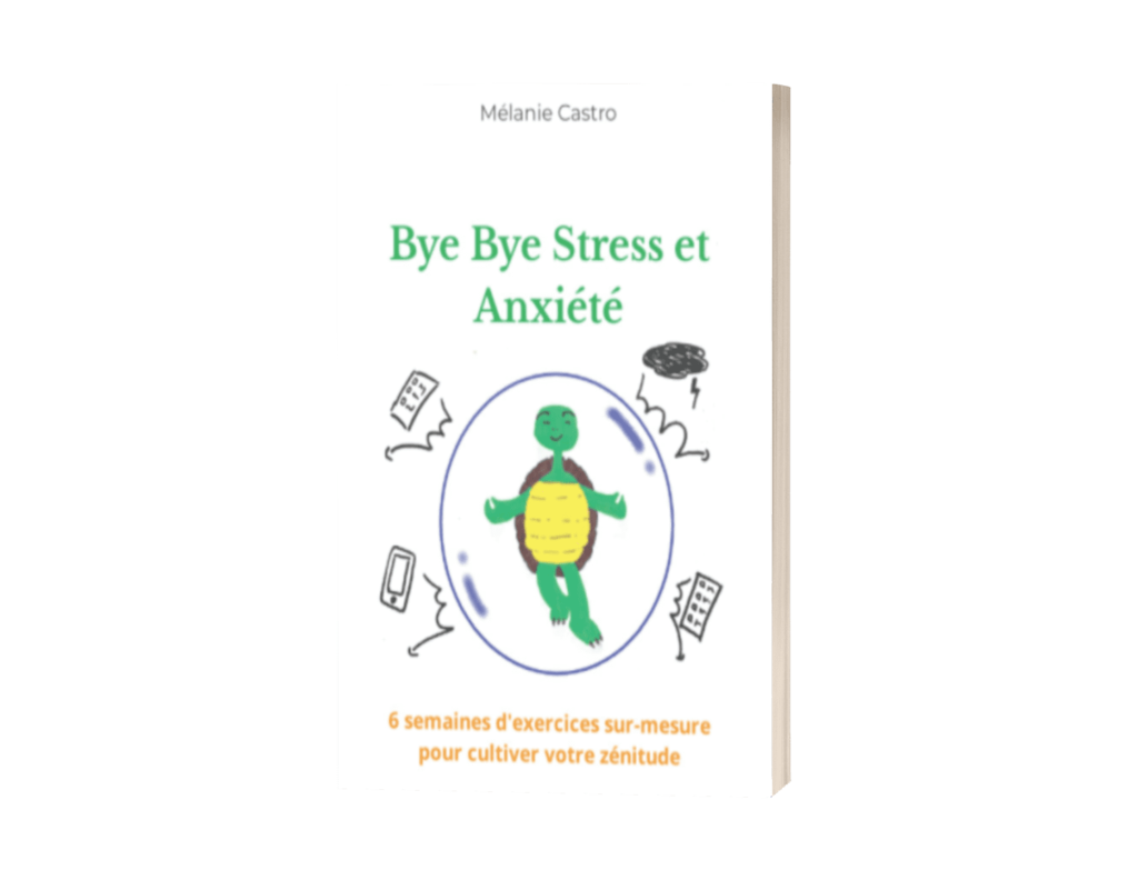 livre bye bye stress et anxiété